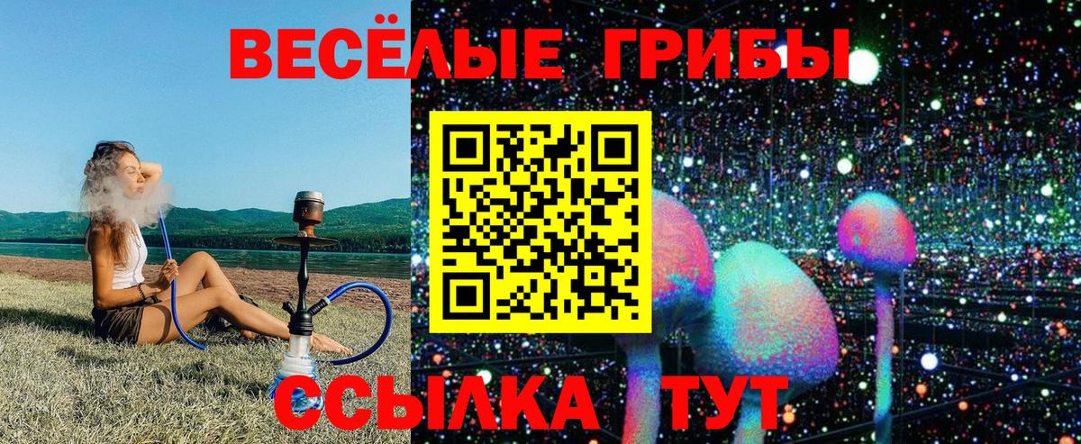 Псилоцибиновые грибы прущие грибы  Вход с VPN  Чехов 